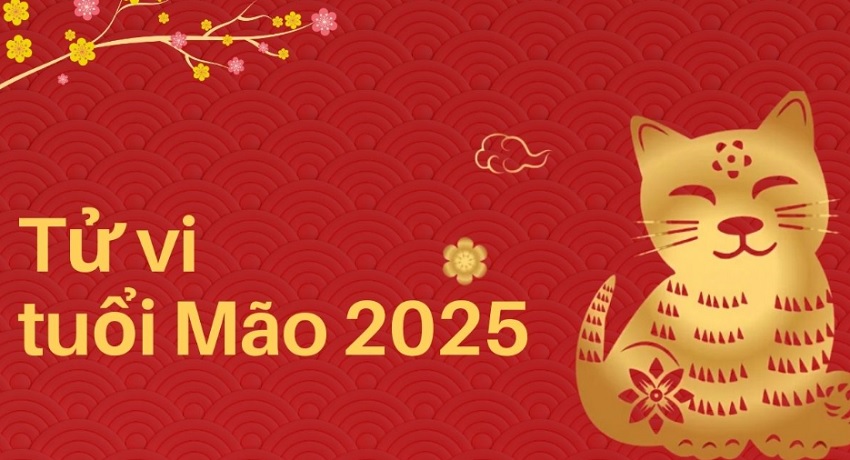 Xem tử vi tuổi Mão 2025 theo từng tuổi nạp âm Du doan tu vi tuoi Mao 2025 theo tung tuoi nap am
