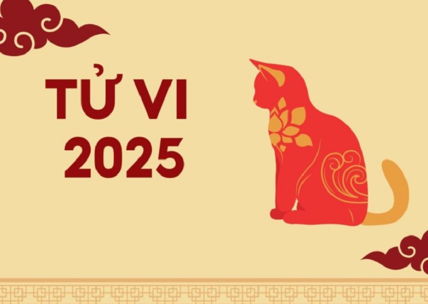 Tổng quan dự đoán vận trình tuổi Mão 2025 Thong tin du doan van trinh tuoi Mao 2025